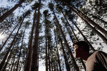 Vista de ángulo bajo del hombre joven mirando hacia arriba en las copas de los árboles de pinos . - foto de stock