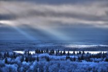 Paesaggio di pineta e campo di neve con pozzi di luce solare che si riflettono sulla superficie del lago . — Foto stock