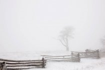 Nieve en el suelo por campo cerca de madera en el paisaje rural de invierno . - foto de stock