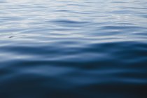 Oberfläche des Ozeanwassers mit Wellen, Vollbild — Stockfoto