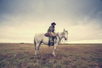 Vista lateral do cowboy sentado no cavalo cinza no campo . — Fotografia de Stock