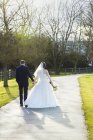 Bride and groom walking arm in arm down path in sunlight, rear view. — Stock Photo