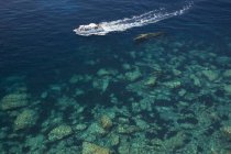 Vista de alto ángulo del crucero en aguas tranquilas y cristalinas del mar Mediterráneo
. - foto de stock