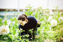 Femme travaillant dans la pépinière de fleurs biologiques . — Photo de stock