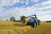 Combine cosechadora trabajando junto con tractor en cultivos en campo . - foto de stock