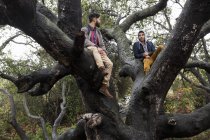 Due giovani seduti su un albero nel bosco . — Foto stock