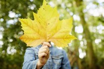 Girl holding autumnal yellow leaf in front of face. — Stock Photo