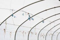 Framework of polytunnel with blue knots of strings. — Stock Photo