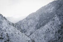 Berglandschaft mit schneebedeckten Hängen, die bis ins Tal reichen in utah, USA. — Stockfoto