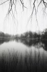 Ruhiges Wasser des Reservoirs und Reflexion der Winterbäume im Central Park, New York City. — Stockfoto