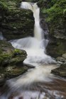 Eau courante de la cascade d'Adams Falls dans le parc d'État de Ricketts Glen, Pennsylvanie . — Photo de stock