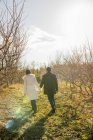 Jovem casal de mãos dadas enquanto caminhava no pomar no inverno . — Fotografia de Stock