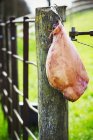 Close-up of cured ham hanging on wooden fence in countryside. — Stock Photo