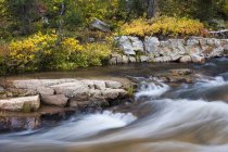 Fogliame autunnale e roccioso Upper Provo River nello Utah, USA — Foto stock