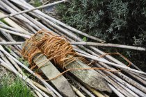 Пучок веток и садовой веревки на садовой дорожке . — стоковое фото