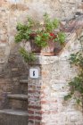 Rustic entryway into traditional Tuscan house with flowerpot on stoop in Italy. — Stock Photo