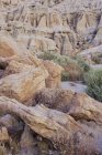 Вид под высоким углом на ландшафт и каньон заповедника Красные скалы . — стоковое фото
