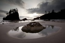 Zweiter Strandweg im olympischen Nationalpark, Washington, USA — Stockfoto
