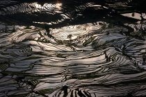 Aerial view of terraced rice fields in twilight in Yuanyang, China — Stock Photo