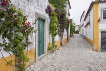 Quiet narrow street of traditional houses in village of Sonega, Portugal. — Stock Photo