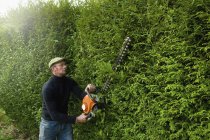 Зрелый человек стрижет зеленую изгородь с помощью моторизованного триммера. . — стоковое фото