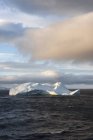 Iceberg em água de Oceano Antártico . — Fotografia de Stock