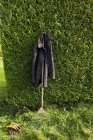 Overcoat hanging from leaf rake leaning against green hedge. — Stock Photo