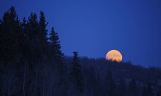 Vista panorámica de la luna llena en el cielo nocturno azul oscuro . - foto de stock