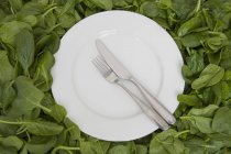 Placa blanca con cuchillo y tenedor descansando sobre hojas comestibles . - foto de stock