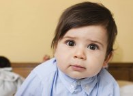 Toddler child with brown eyes and black hair looking in camera. — Stock Photo