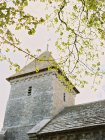 Vue à angle bas de la tour du château historique derrière les branches d'arbres . — Photo de stock