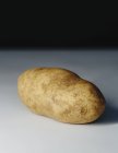 Scrubbed clean organic russet potato on table. — Stock Photo