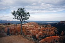 Bryce Canyon and landscape of sandstone rock formations in Utah, USA. — Stock Photo
