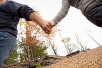 Cropped view of man and woman holding hands in autumnal park. — Stock Photo