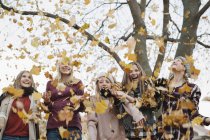 Cinco meninas adolescentes em chapéus de lã e cachecóis jogando folhas de outono no ar . — Fotografia de Stock
