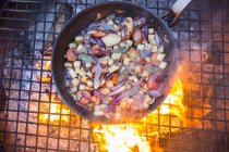 Meat in pan with mix of vegetables above glowing fire outdoors. — Stock Photo