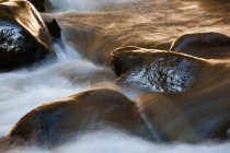 Water flowing over rocks in mountain creek. — Stock Photo
