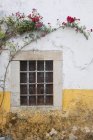 Mur de la maison avec des roses fleurissant au-dessus de petite fenêtre
. — Photo de stock