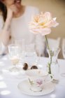 Крупный план розового цветка в вазе на столе с чашкой, блюдцем и стаканами . — стоковое фото