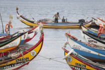 Barcos de pesca tradicionales moliceiro pintados en colores vivos amarrados en Torreira, Portugal . - foto de stock