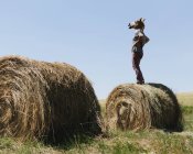 Hombre con máscara de caballo parado en la paca de heno en las tierras de cultivo . - foto de stock