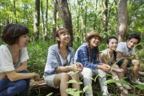 Group of young Asian friends sitting on tree trunk in forest. — Stock Photo