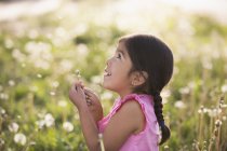Elementary age girl in field of flowers blowing fluffy seeds off dandelion. — Stock Photo