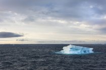 Iceberg sull'acqua del Mare di Weddell nell'Oceano Meridionale . — Foto stock