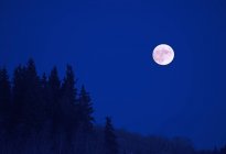 Живописный вид полной луны на темно-синем ночном небе . — стоковое фото