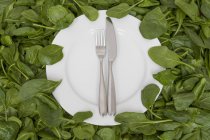 Белая тарелка с ножом и вилкой покоится на съедобных листьях . — стоковое фото