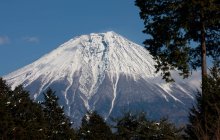 Schneebedeckter Fuji-Berg und Bäume in Japan. — Stockfoto