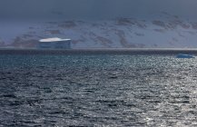Iceberg en la superficie del agua del océano en la Antártida - foto de stock