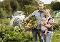 Young family standing in allotment with box full of freshly picked vegetables. — Stock Photo