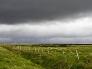 Dunkle Regenwolken über grünem Ackerland. — Stockfoto